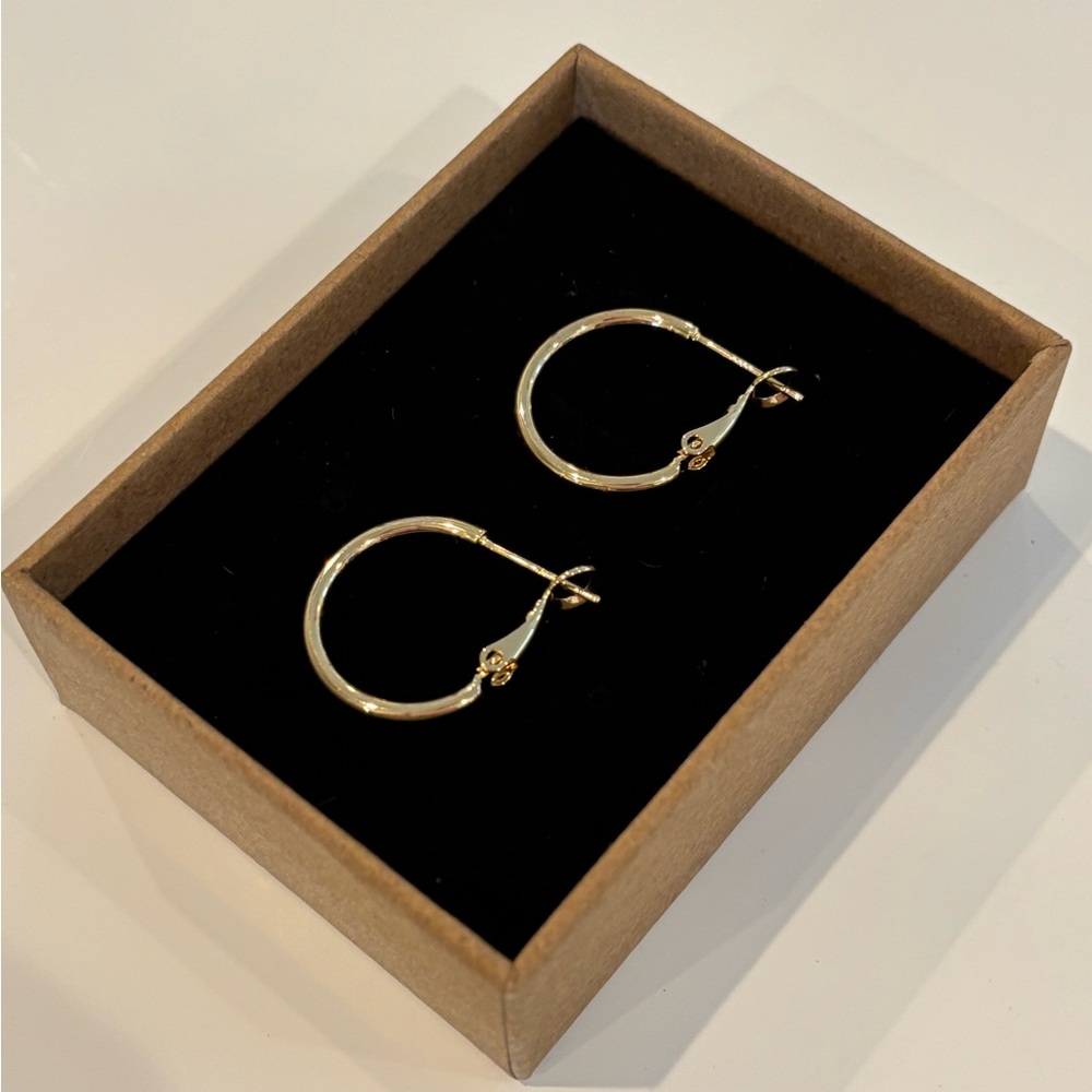 NWOT Elegant 14k Gold-Plated Small Hoop Earrings
